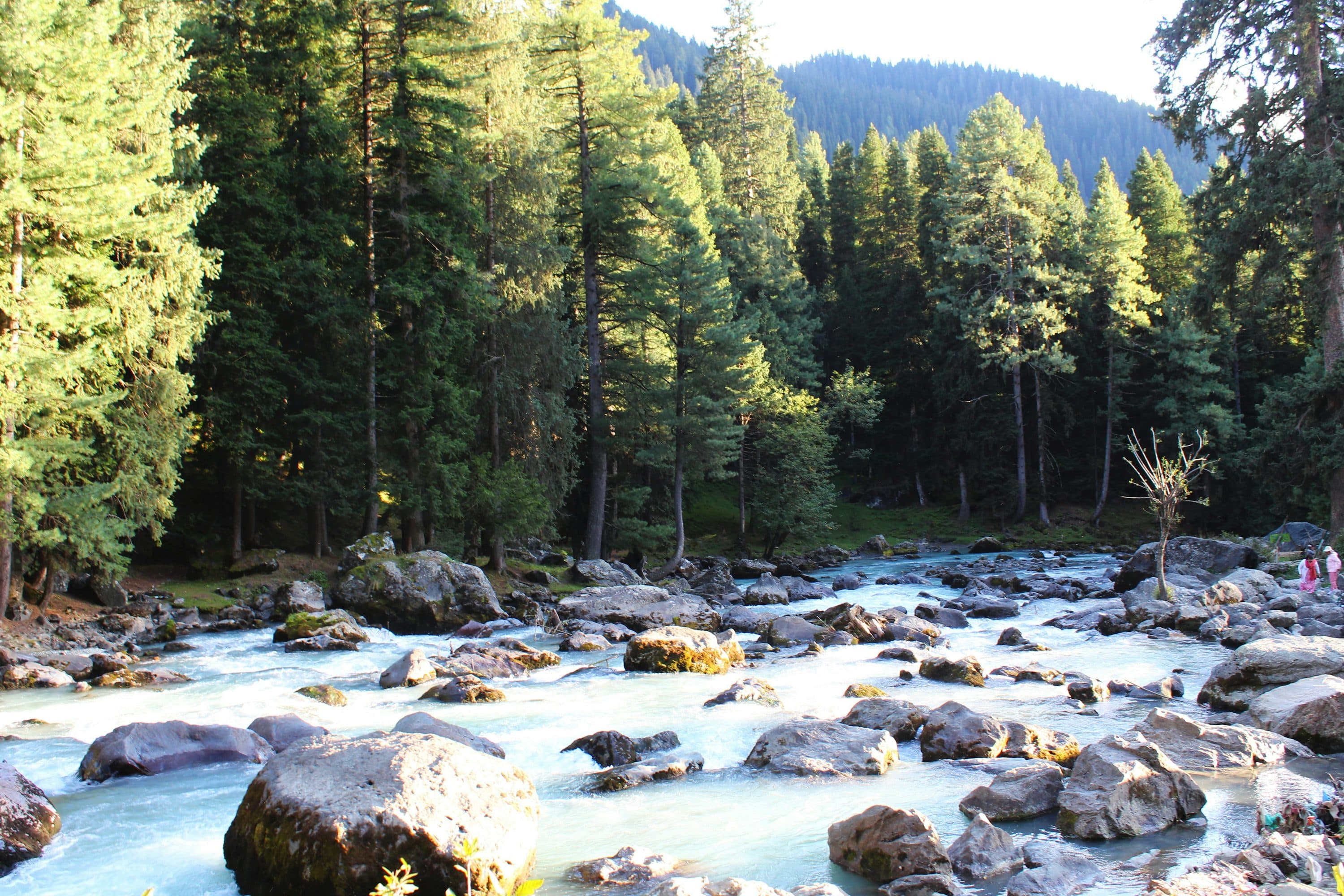 Pahalgam Nature Retreat